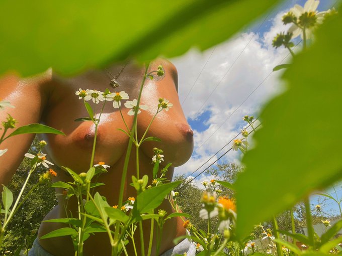 🖼️ Follow @is_it_cheeks https://t.co/IlhOapqKIN<a class="tags" target="_blank" title="On Twitter" href="/?out=eyJ0eXAiOiJKV1QiLCJhbGciOiJIUzUxMiJ9.eyJpYXQiOjE3MjAxNzc1MzEsImlzcyI6InR3cG9ybnN0YXJzLmNvbSIsIm5iZiI6MTcyMDE3NzUzMSwiZXhwIjoxNzUxNzEzNTMxLCJyZWRpcmVjdF91cmwiOiJodHRwczovL3R3aXR0ZXIuY29tL2lzX2l0X2NoZWVrcyJ9.NCyjjK6n9QH0MbRemAE2daM-b7xAOLD5aOtV8qSb1mEPiuaRG0x4sTL_PcyxLwdaK4Wc89x9s5eLPNfyrqGFGA">@is_it_cheeks</a>