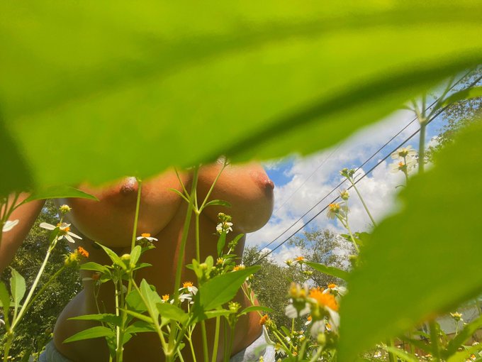 🖼️ Follow @is_it_cheeks https://t.co/IlhOapqKIN<a class="tags" target="_blank" title="On Twitter" href="/?out=eyJ0eXAiOiJKV1QiLCJhbGciOiJIUzUxMiJ9.eyJpYXQiOjE3MjAxNzc1MzEsImlzcyI6InR3cG9ybnN0YXJzLmNvbSIsIm5iZiI6MTcyMDE3NzUzMSwiZXhwIjoxNzUxNzEzNTMxLCJyZWRpcmVjdF91cmwiOiJodHRwczovL3R3aXR0ZXIuY29tL2lzX2l0X2NoZWVrcyJ9.NCyjjK6n9QH0MbRemAE2daM-b7xAOLD5aOtV8qSb1mEPiuaRG0x4sTL_PcyxLwdaK4Wc89x9s5eLPNfyrqGFGA">@is_it_cheeks</a>