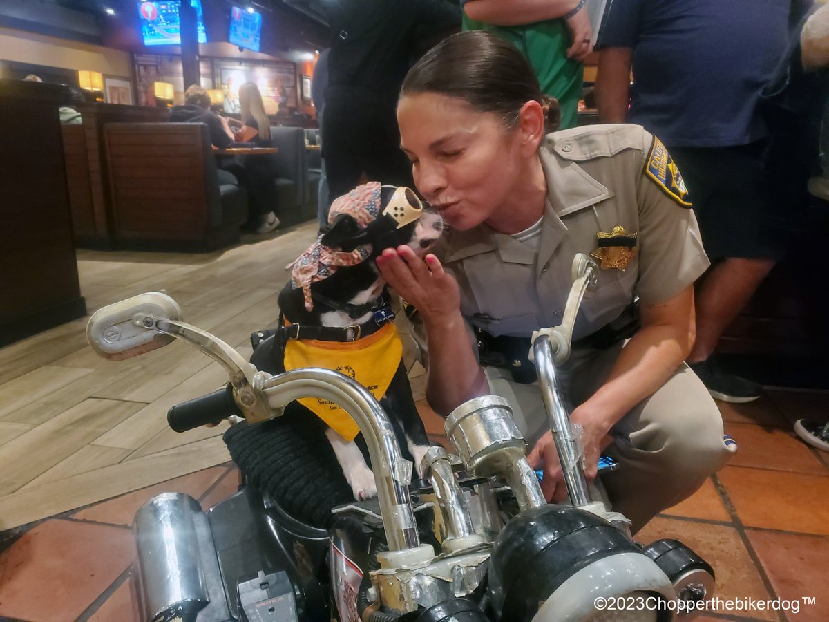 ChopperBikerDog's tweet photo. Top-A-Cop / Top-A-CHiP tonight with the @CHP_El_Cajon all to support and raise money for @SOSoCal at @bjsrestaurants @CityofLaMesa @GrossmontCenter
#Chopper #Bikerdog #SpecialOlympics #TeamChopper #MakingADifference https://t.co/xSyGlJM7Eg