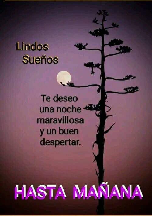 nosshun's tweet photo. https://t.co/2UFqVMQqds