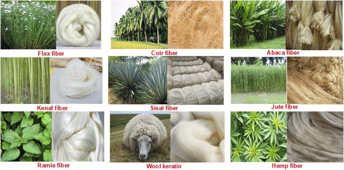 🌿Embrace the beauty &amp; sustainability of Natural Fibers!🌾From cotton to hemp, these renewable resources are weaving a greener, eco-friendly future for fashion &amp; textiles. Let's celebrate nature's textiles &amp; sustainable fashion 👗#NaturalFibers #SustainableFashion #EcoFriendly