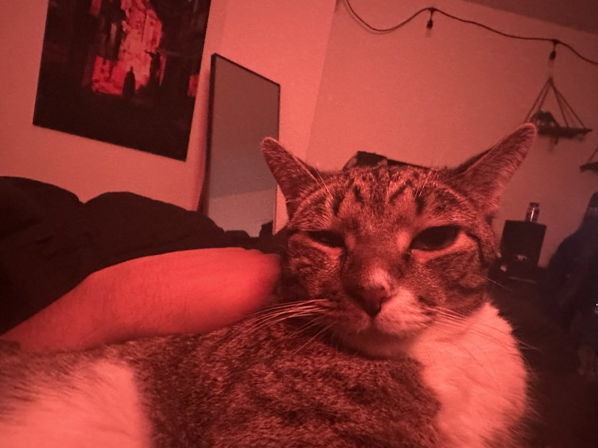 big (maybe the biggest) R tweet media