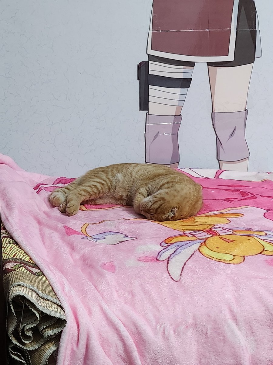 neplachu's tweet photo. Моя любовь в новой квартире https://t.co/y1s1rtLjIj
