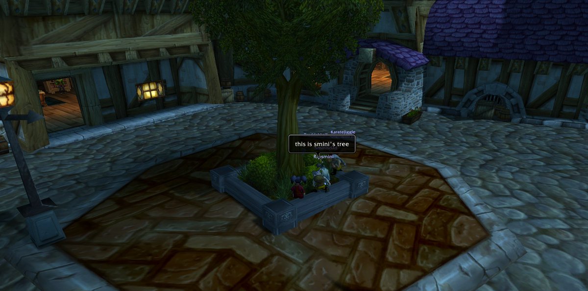 salutbuton's tweet image. Scattering Smini's ashes in #stormwind. RIP Smini #hcwow #classicwow