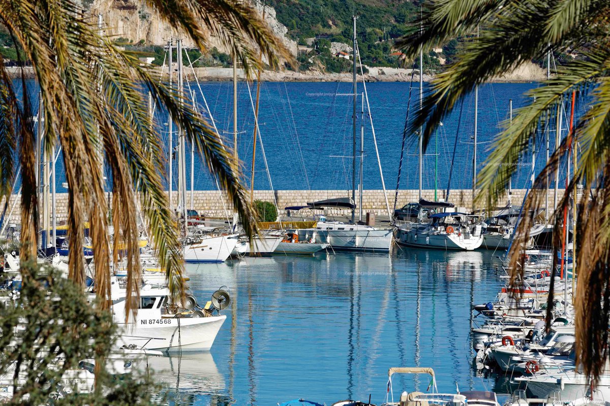 Le port de #Menton  sur la #Cotedazurfrance 
+ 📸--> fr.mylabphoto.com/?id=1025503
📸 canon Eos 5D mark IV
#Regionsud #AlpesMaritimes #jmlpyt #Photography #picoftheday #artistephotographe #artgallery #galeriedart #canon #canonFrance #MentonRivieraMerveilles