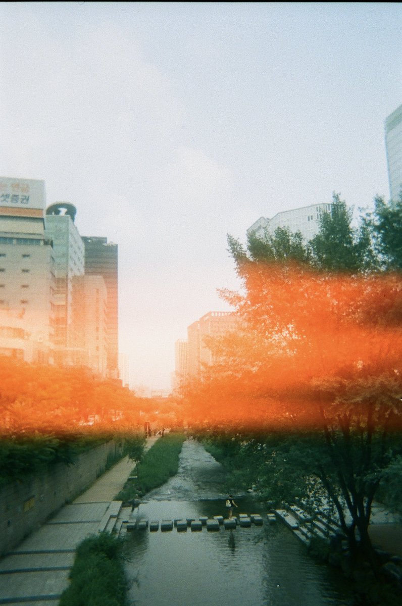 dprstear's tweet photo. i miss seoul https://t.co/WxFCFTlfcP
