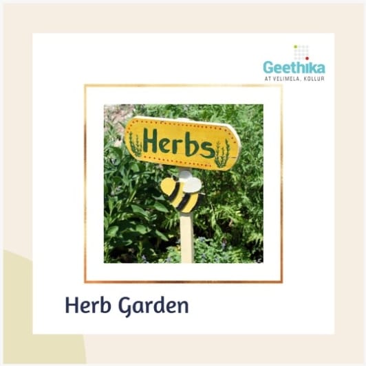 supadha's tweet photo. Experience the joy of picking your own herbs from our garden at Geethika. aste the difference of homegrown herbs! #HerbGardenDelights #luxury #homesweethome #supadha #geethika #realestate #infra #constructioncompany #villa #villalife #luxuryvilla #kollur #nature #greenery https://t.co/T7JSSPz5zu