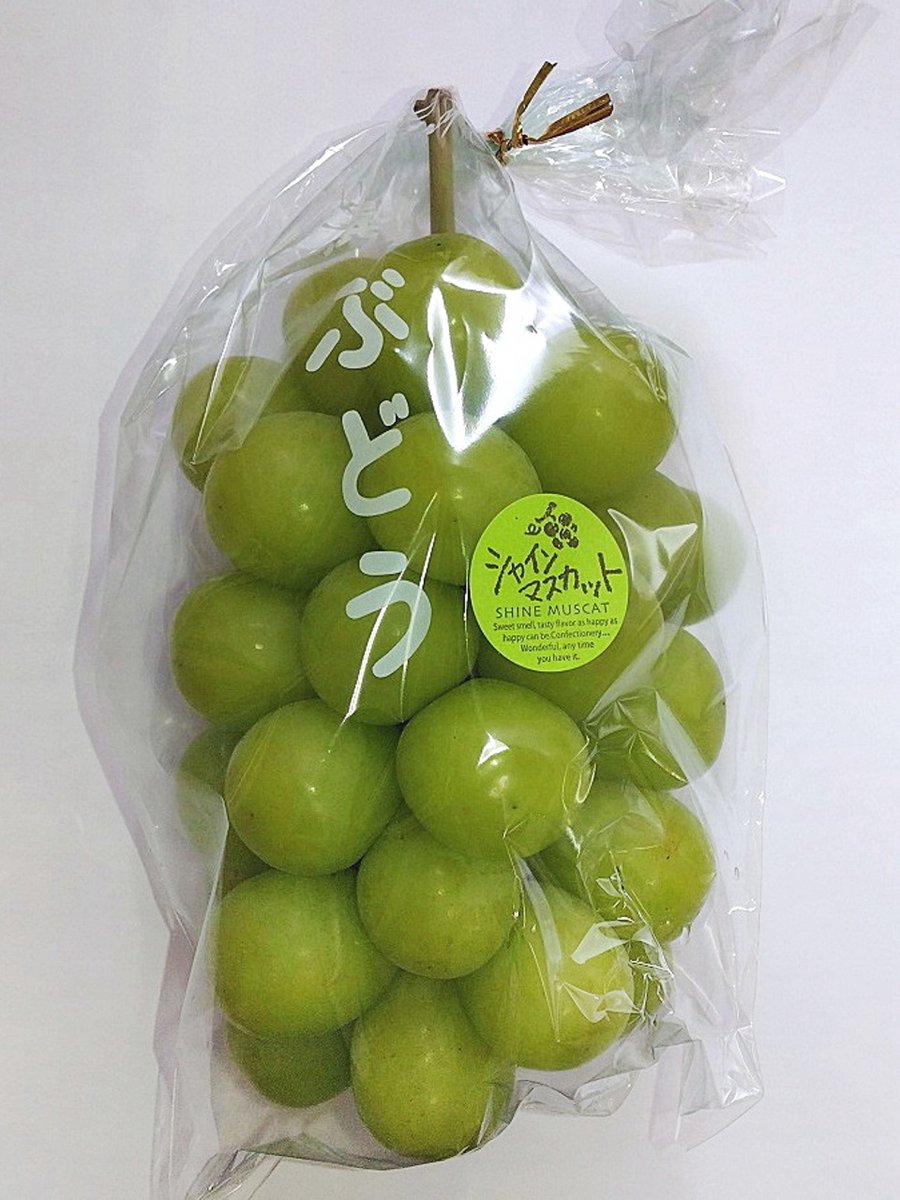 ぶどう様 私たちが交配した品種 – 志村葡萄研究所〜Shimura Grape