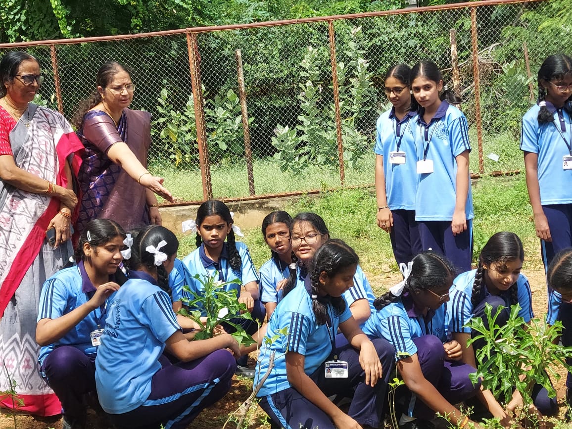 Srikanthbandu1's tweet photo. #FutureInTheirHands
@HarithaHaram
@Green_Challenge
Students Of #Bhavans Jubile Hills Participated In #VanMahotsav & Planted Saplings On The Occasion Of Their Class Mate #AarushikaBandu Birthday. Kudos To Kids & Teachers.
@moefcc
@TelanganaCMO
@SantoshKumarBRS
@dobriyalrm https://t.co/CWvVyt8PEE