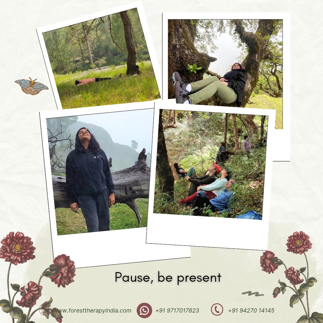 forestbathindia's tweet photo. 🏞️ Join us in the tranquil embrace of Himalayan Village in Sathkol, Uttarakhand. 🗓️ Save September 28 - October 2,🌳 The Himalayan Forest Bathing Retreat, curated by nature lovers, is your perfect getaway.
https://t.co/wigKtIZeA1 https://t.co/YVIYF4KpCI