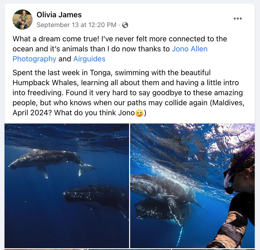 Airguides tweet media