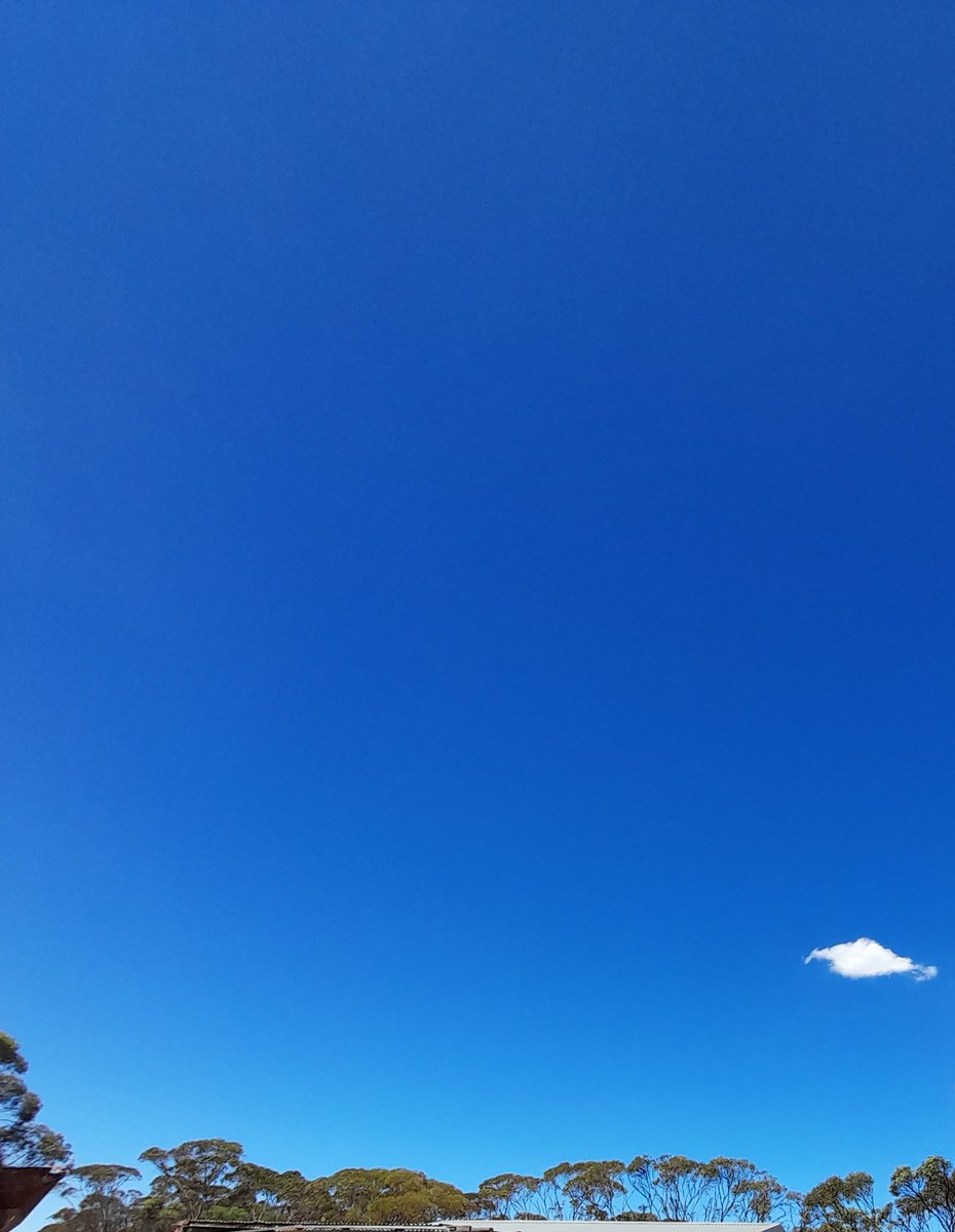 wanderinganimal's tweet photo. @BOM_au @CKellyUAP @SenatorRennick @MRobertsQLD From 2010-2013 our beautiful clear #blueskies suddenly become milky, hazy/fake silver-blue, from ongoing aerosols, (#ClimateEngineering)+ your #EMF's microwaves become Intense= #droughts/#fires, destroying #farmers++ then ongoing #Ozfloods, &now🕒back to #rainblocking/#OzFires. https://t.co/oSYXzSX9zn