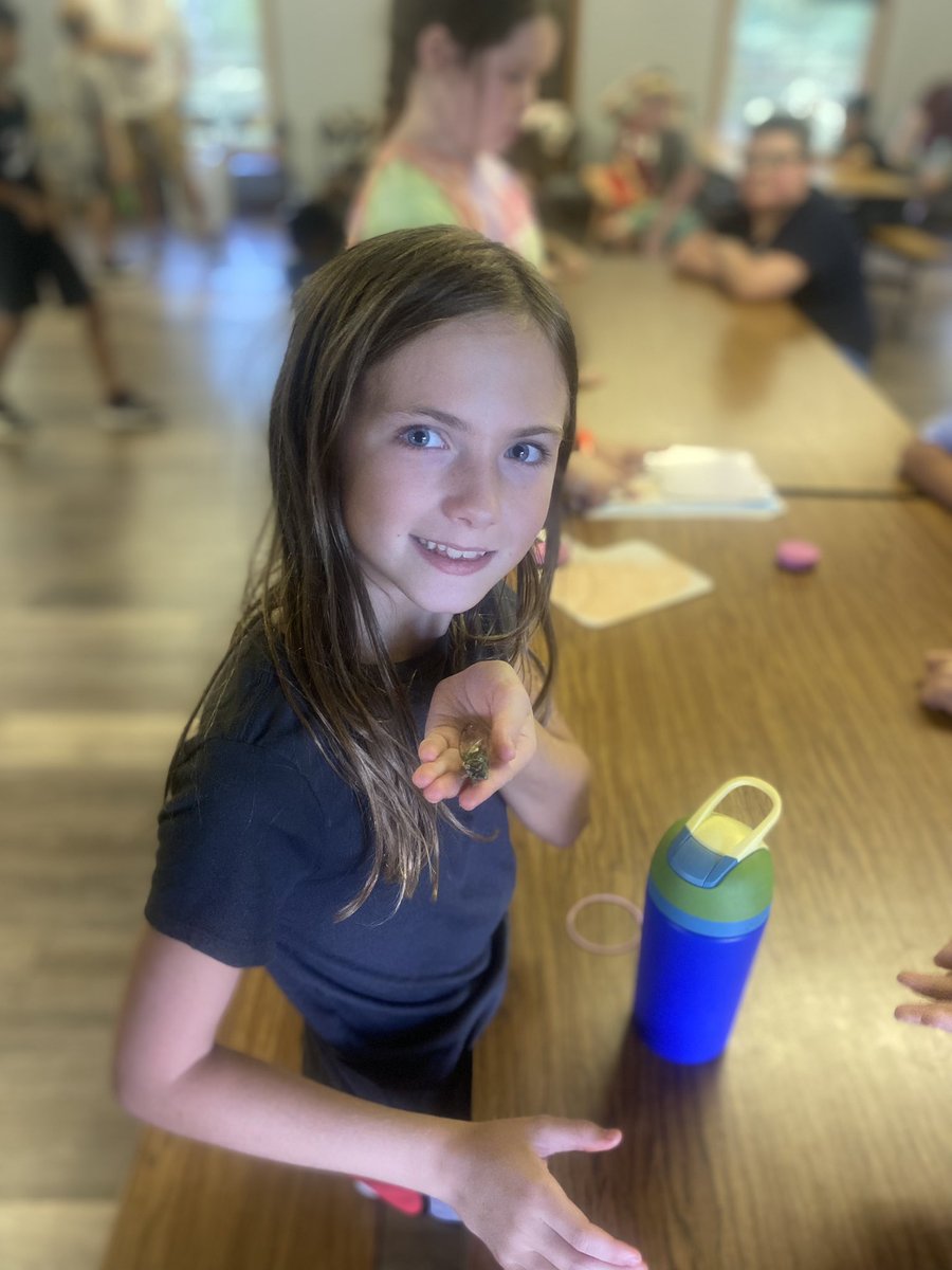 Jonathan Stefanopoulos tweet media