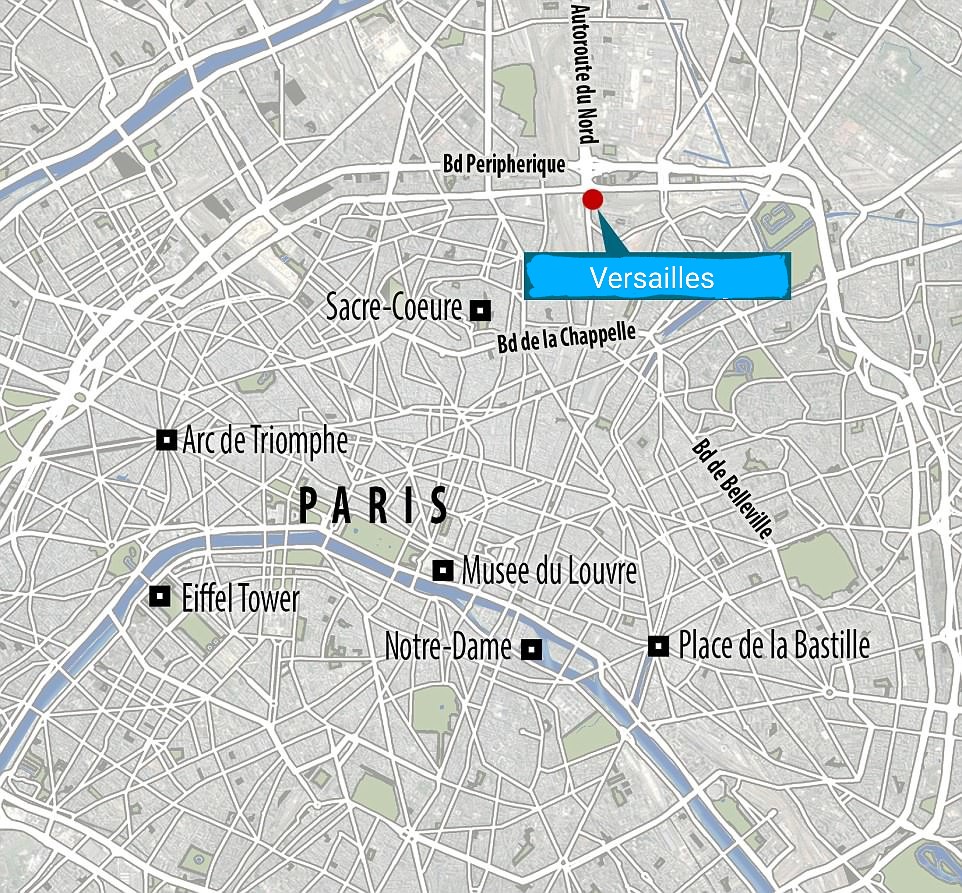 DameSheed tweet media