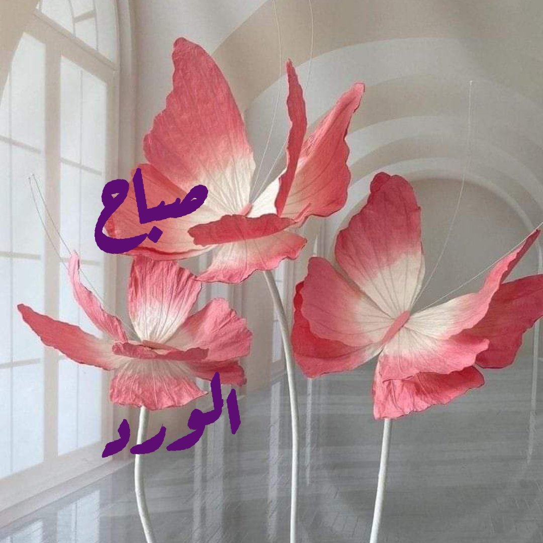 #نحن لا نترك عزيزاعبثا
نحن نغادر حين نتأذى،،🌹🌹