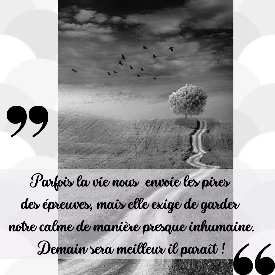 minute_zen's tweet photo. Les épreuves de la vie aussi insoutenables soient elles nous permettent d’avancer même si sur le moment nous ne le savons pas !
Bonne semaine les #zen #twittonautes💕💕💕
#epreuves #espoir #repartir #renouveau #force #douleur #développementpersonnel #mindset #confiance https://t.co/ytFxu83x9D