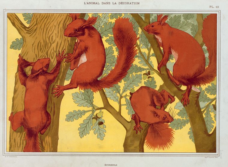Born in Saint-Quentin, France, in 1869, Maurice Pillard Verneuil is known for his work in both the Art Nouveau and Art Deco periods. tinyurl.com/wzbsnkp8 #squirrels #squirrelrefuge #squirrelrescue #squirrelart
