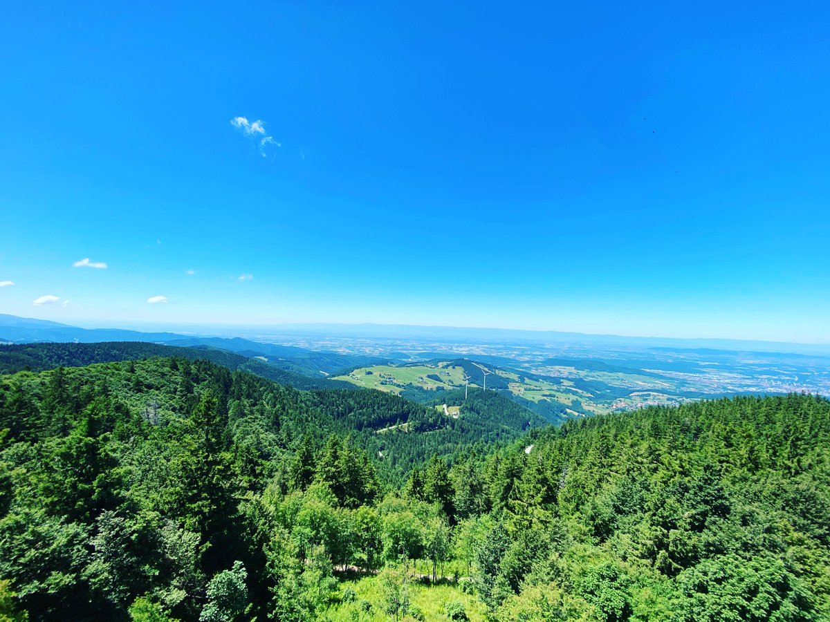 wildganz_com's tweet photo. Ganz wild auf #weitblick

Vom #Aussichtsturm auf dem #Schauinslandgipfel hat man einen hervorragenden #Weitblick über den #Südschwarzwald.

#freiburg #schwarzwald #südschwarzwald #schauinslandturm #schauinslandfreiburg #wanderlust #wanderwege #radwege #singletrails #biken #mtb https://t.co/wIggPNOzdu