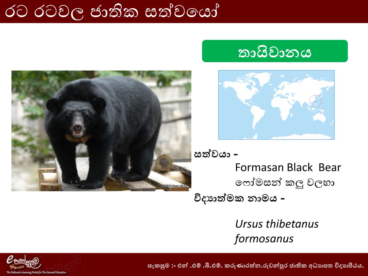 අඩිතාලම tweet media