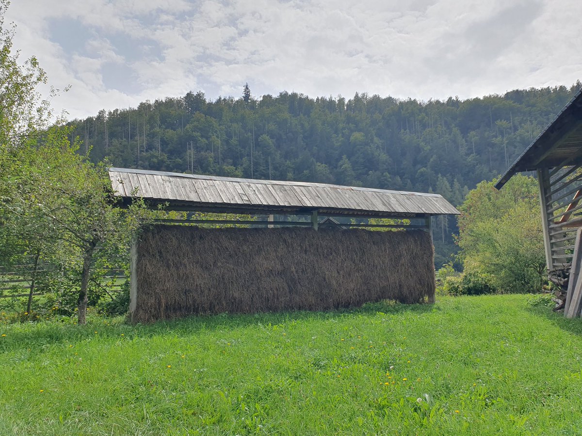 Some more Slovenian hay drying racks. This time they are toplarji, a double hayrack typical of the Bohinj region. The ones pictured here date sometime between the 18th and 19th centuries!