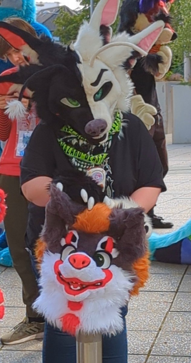 cozwoz2010's tweet photo. I didn't do it ...you can't prove anything.... @FursNottingham #nottsfurs #Nottingham #furmeet #ukfurries #furryfandom #nyx ✂️ @CarnivCreations #carnivcrew #carnivcreations https://t.co/66sK7uNY6c