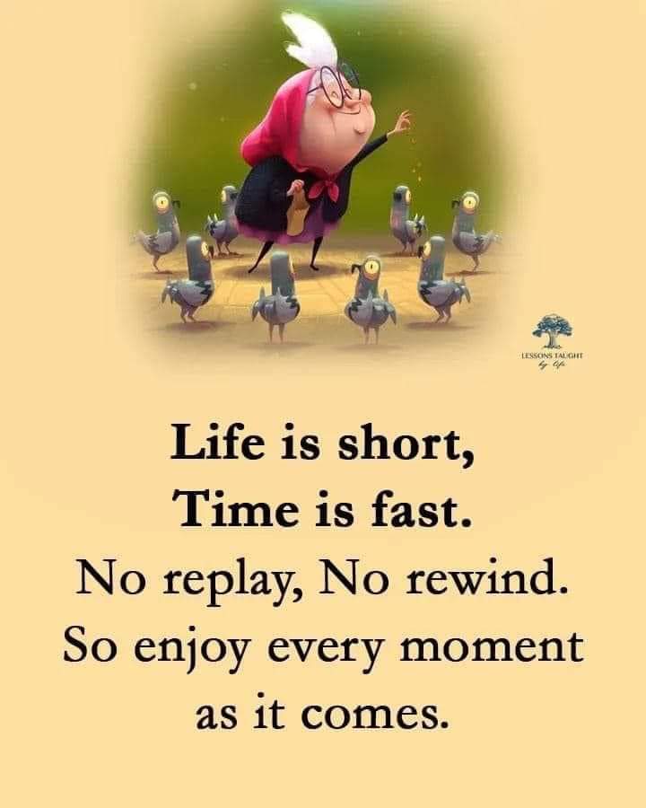 Good morning everyone 🐦🐓🌼🌻