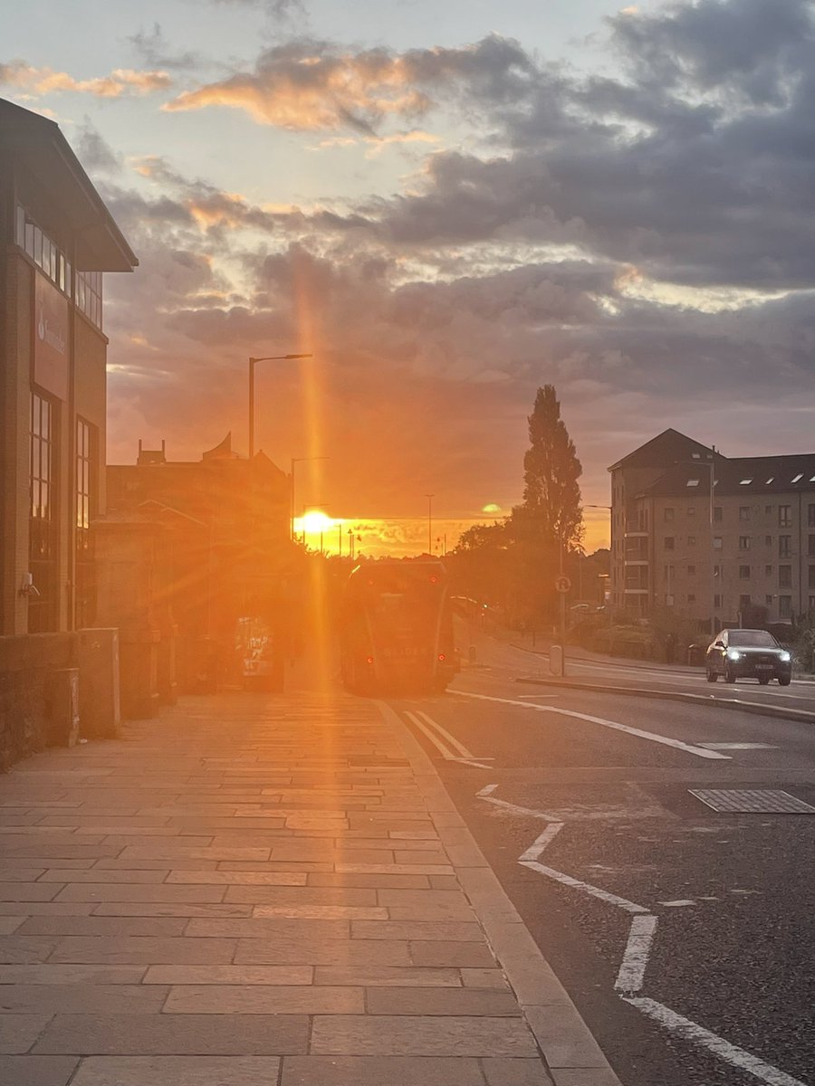 Sharon Hanna tweet media