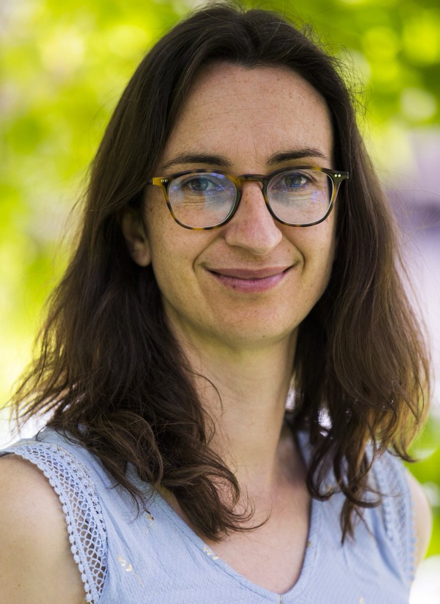 PETRA Network tweet media