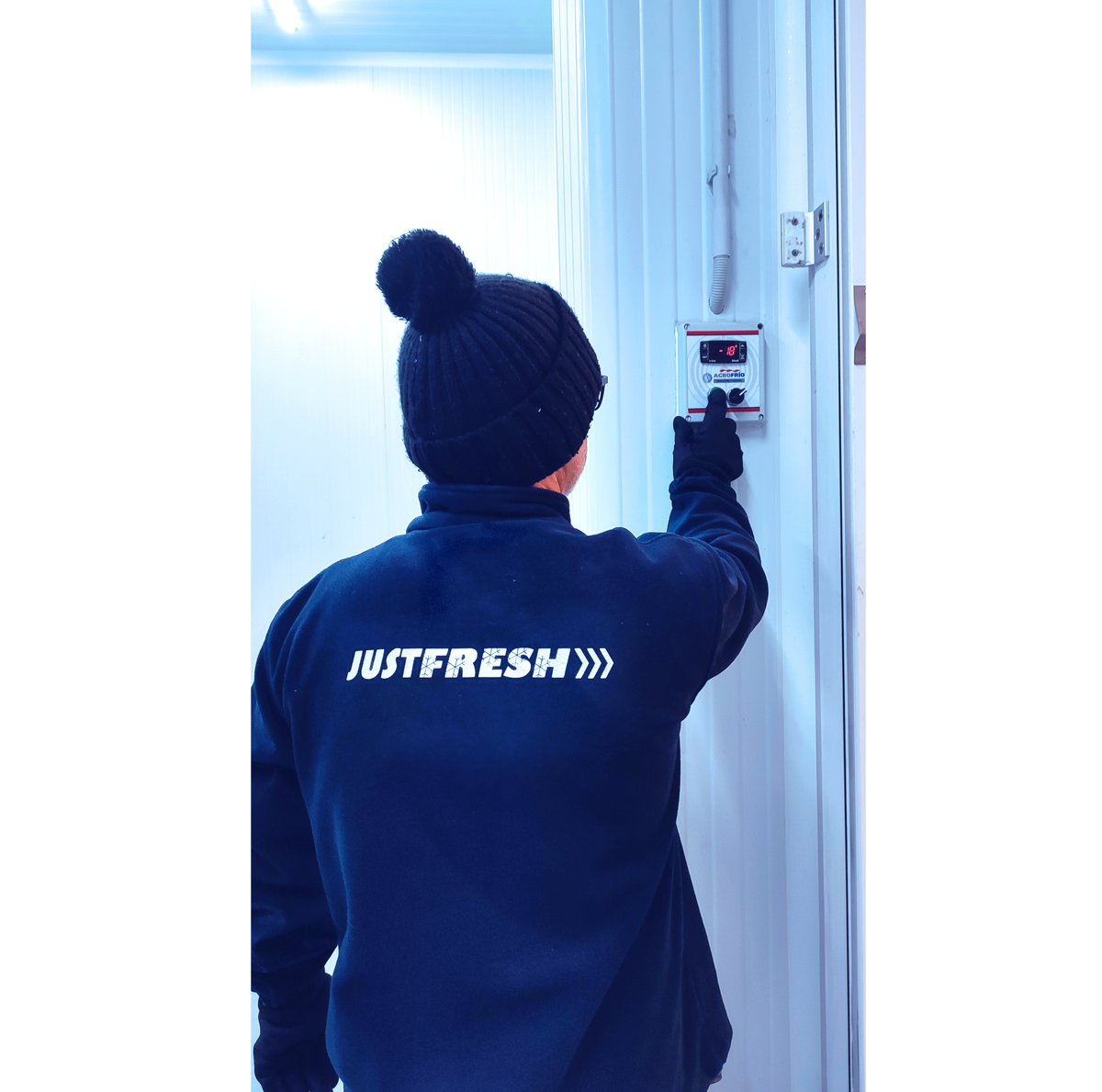 JUSTFRESHGTM's tweet photo. 👨‍🔬¡Conoce a nuestro compañero de almacén, Raúl!👋
Con su dedicación y experiencia, garantiza que nuestras cámaras mantengan la temperatura perfecta para tus productos. Su compromiso con la calidad y la frescura es insuperable ¡Estamos orgullosos de tenerlo en nuestro equipo!🌡️❄️ https://t.co/g7BT8S41tS