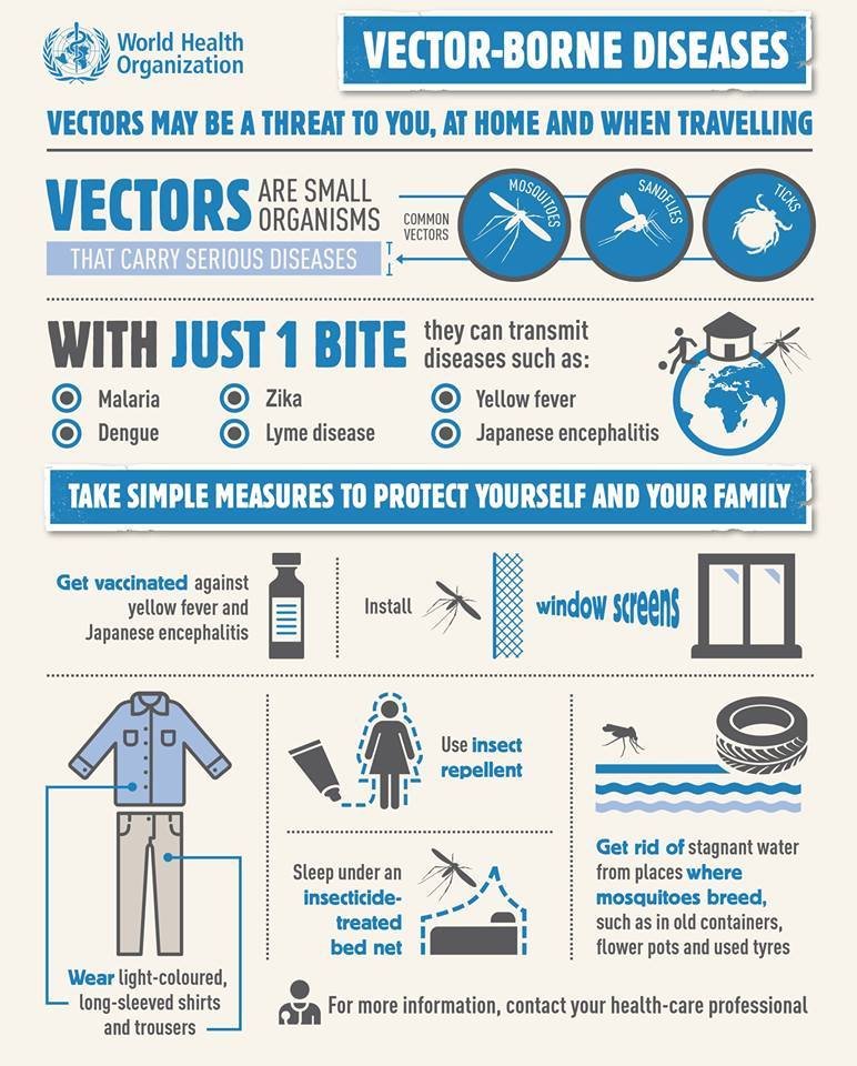 Vectors are small organisms like mosquitoes that carry diseases like #malaria, #denguefever and #yellowfever. Here are simple measures you can take to protect yourself and your family👇