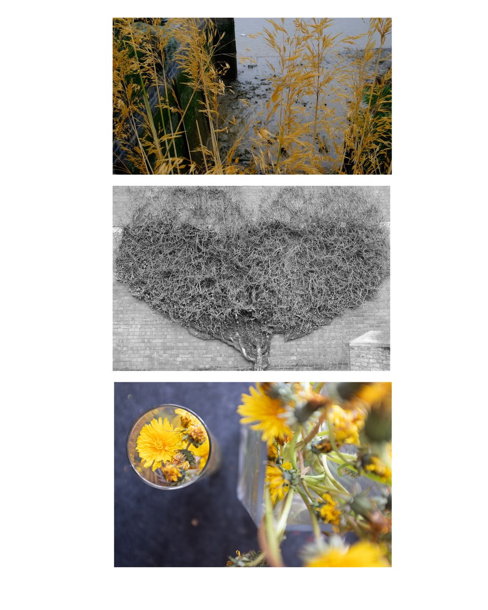 In the interests of making more money for #TezQuakeAid primary buyers at 10Tz or more will now get a hand stamped Post Card of this work sent to you at my expense. All proceeds of primary and 2nd sales still go to the cause.