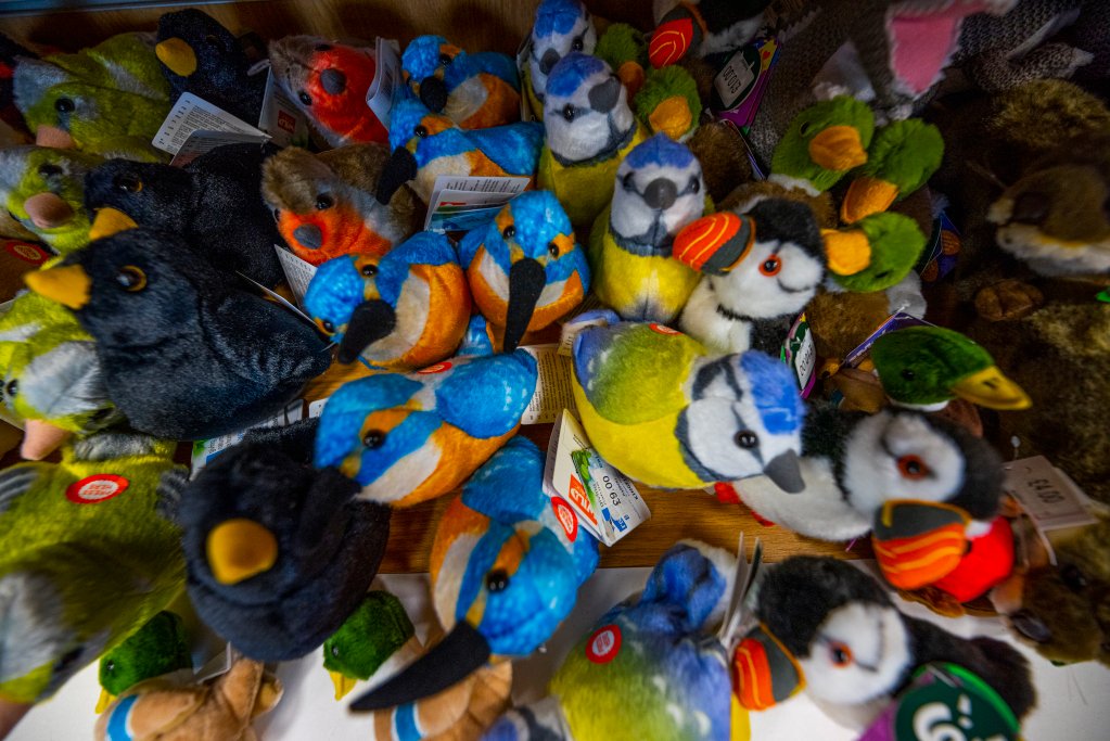 RSPBSaltholme's tweet image. #ThisTimeNextWeek (Thursday 28 September) our shop will be closed for the annual stock take.
Want to help? Come and browse our #shop before Thursday- the more our customers buy, the less we will have to count!
Thank you for your understanding.
📸Rosie Dutton, RSPB Images