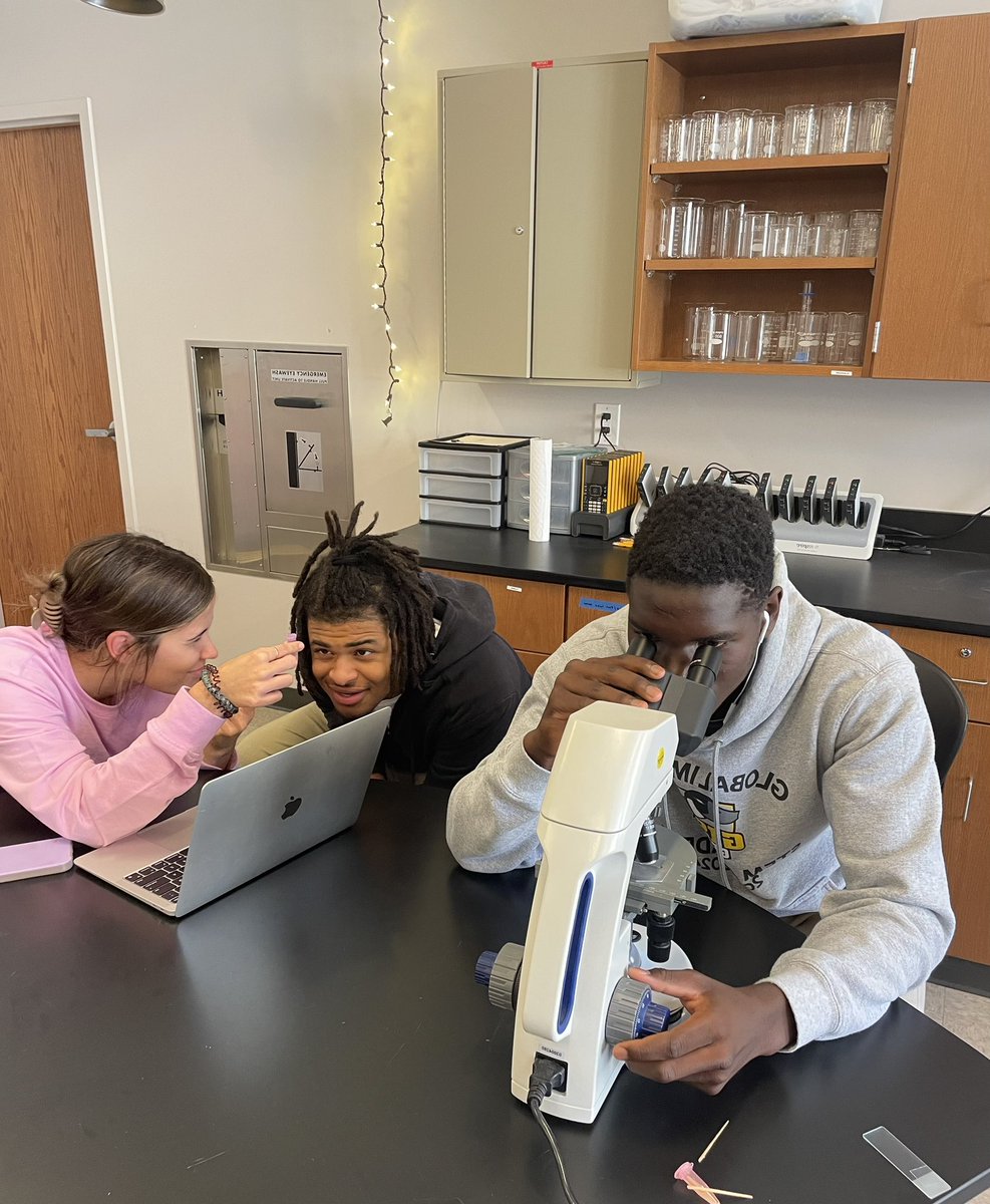 PflaumerGISA's tweet image. Students have been putting their lab skills to the test to find the best method to extract pollen from honey samples!