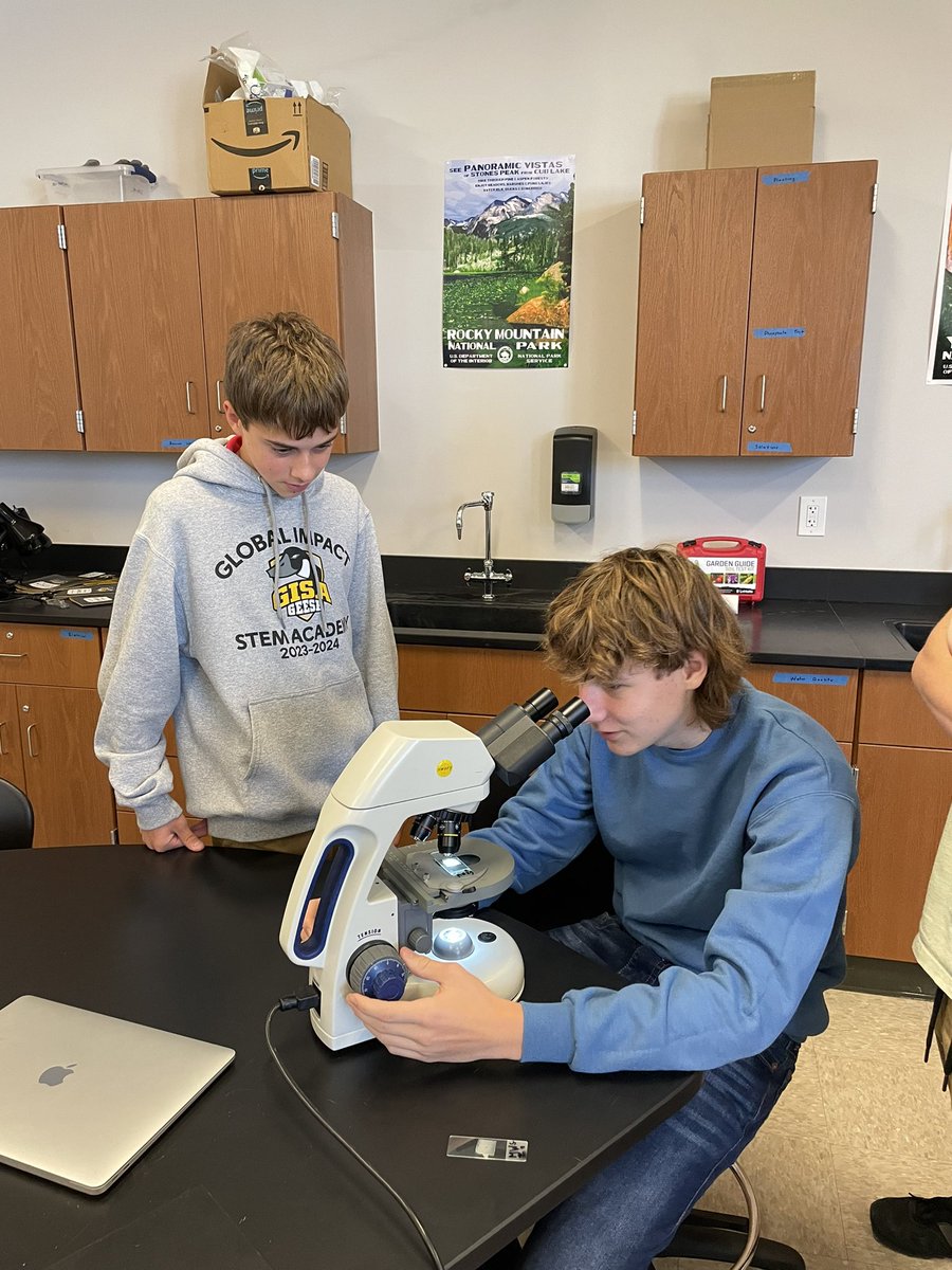 PflaumerGISA's tweet image. Students have been putting their lab skills to the test to find the best method to extract pollen from honey samples!