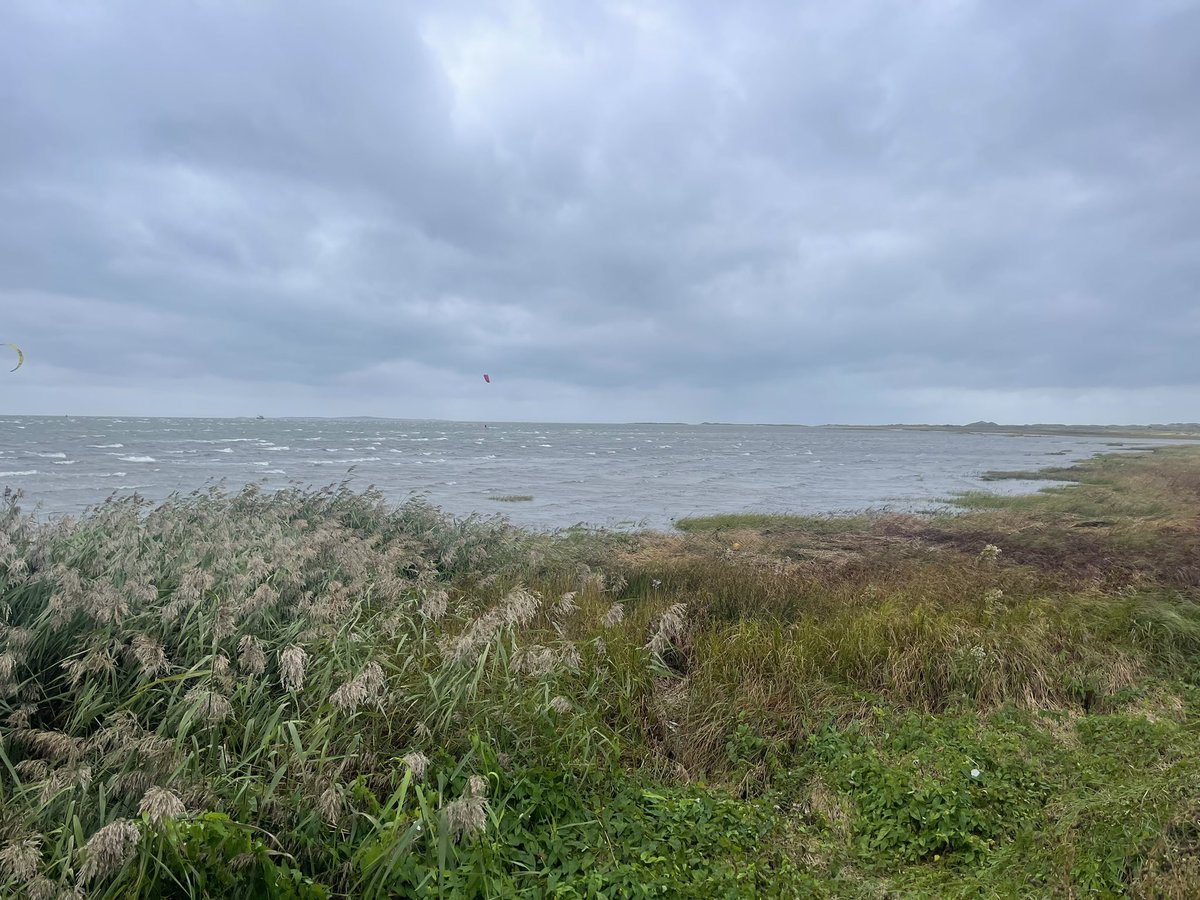 Hoog water…hoe symbolisch <a href="/SpringtijNL/">Springtij</a>