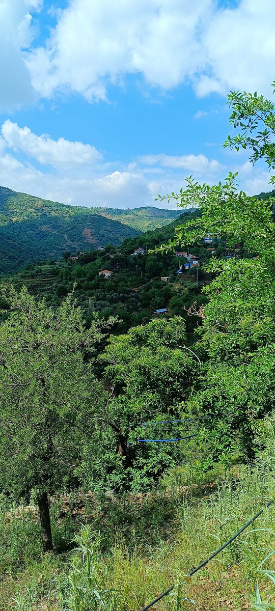 Güzel köy ☘️🌼