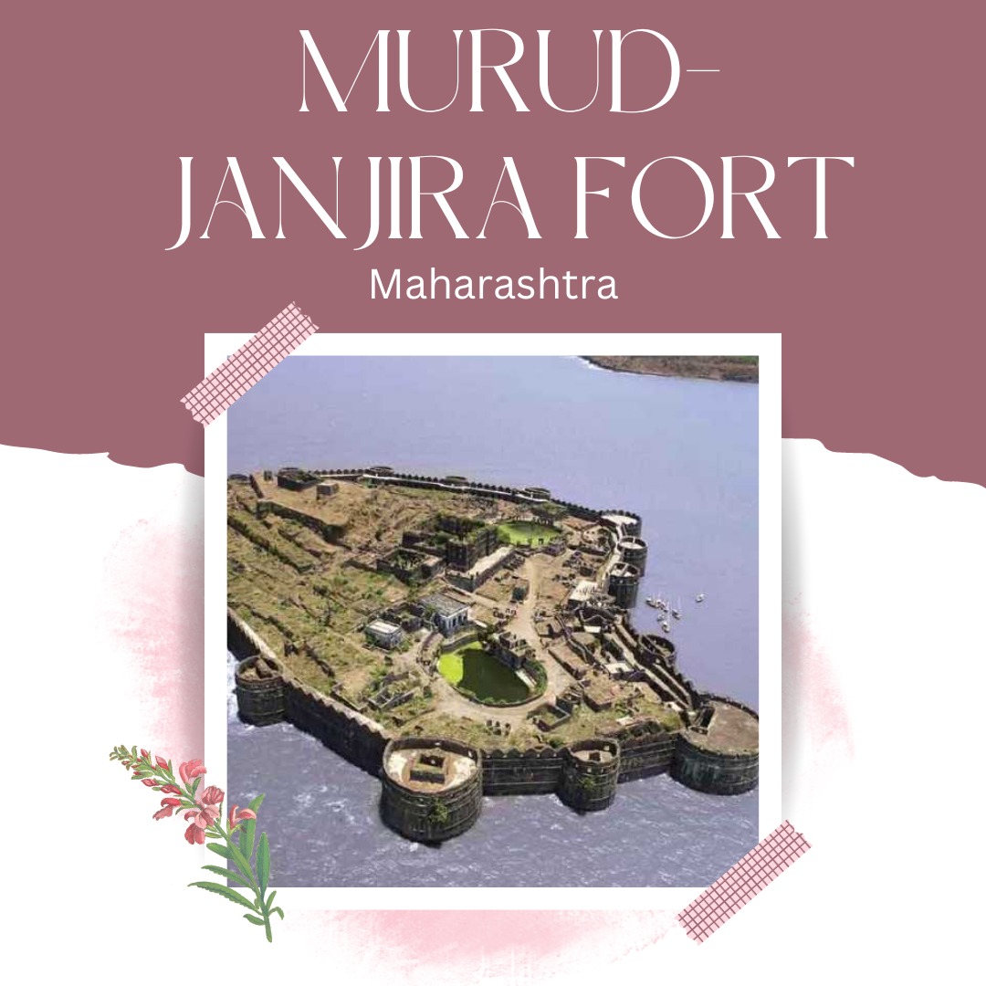 Book Your Own tweet media