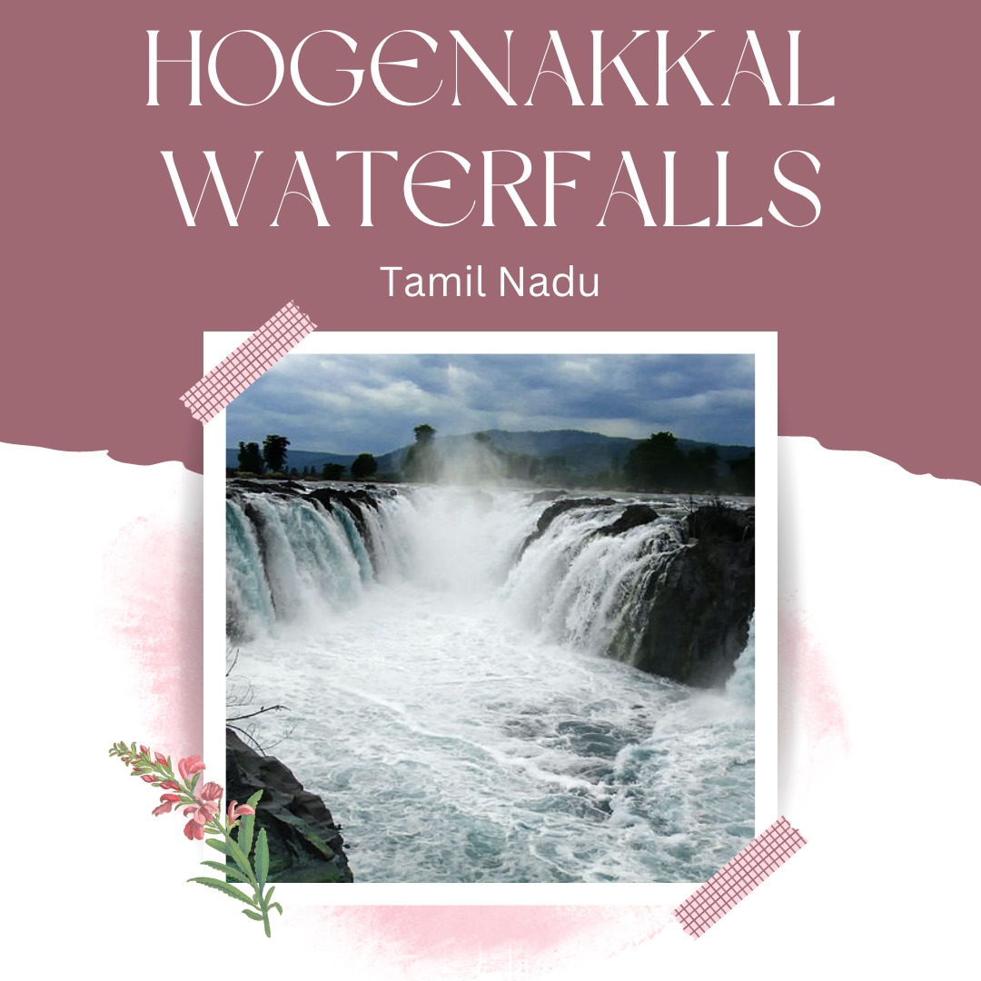 Book Your Own tweet media