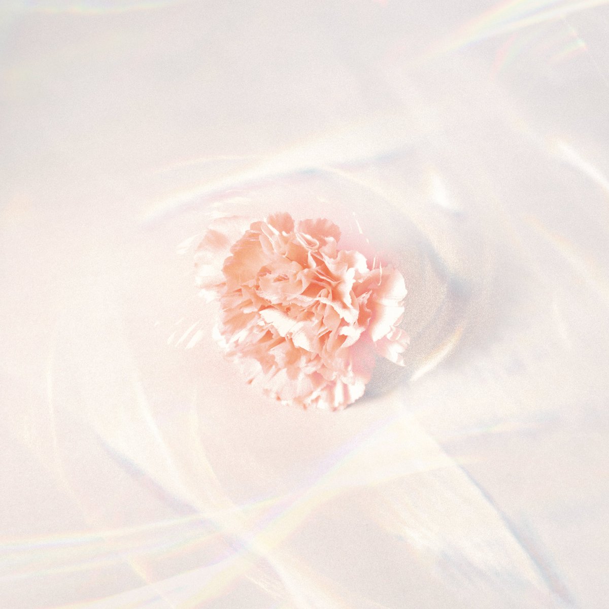 marcy0910's tweet photo. 【新曲リリース決定‼️🎉🎊】

新曲『ラブソング』
9/27(水)0:00に配信リリースします！！🎧

併せて、ジャケット写真公開📸 https://t.co/uMDHxAxhm8