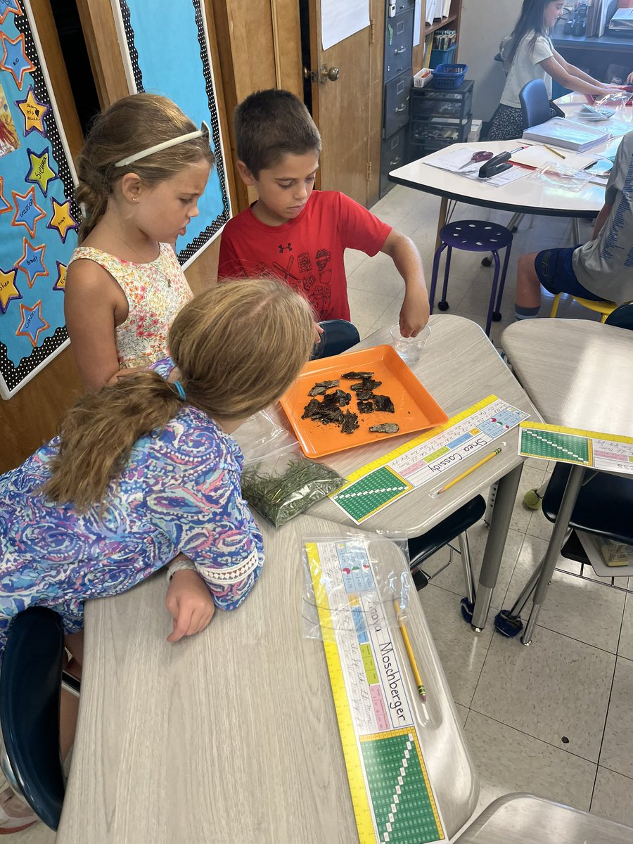 MrsChristoph3's tweet photo. Scientists hard at work observing what happens when rain falls on natural materials. #FHLeads https://t.co/W1h46c9zyR