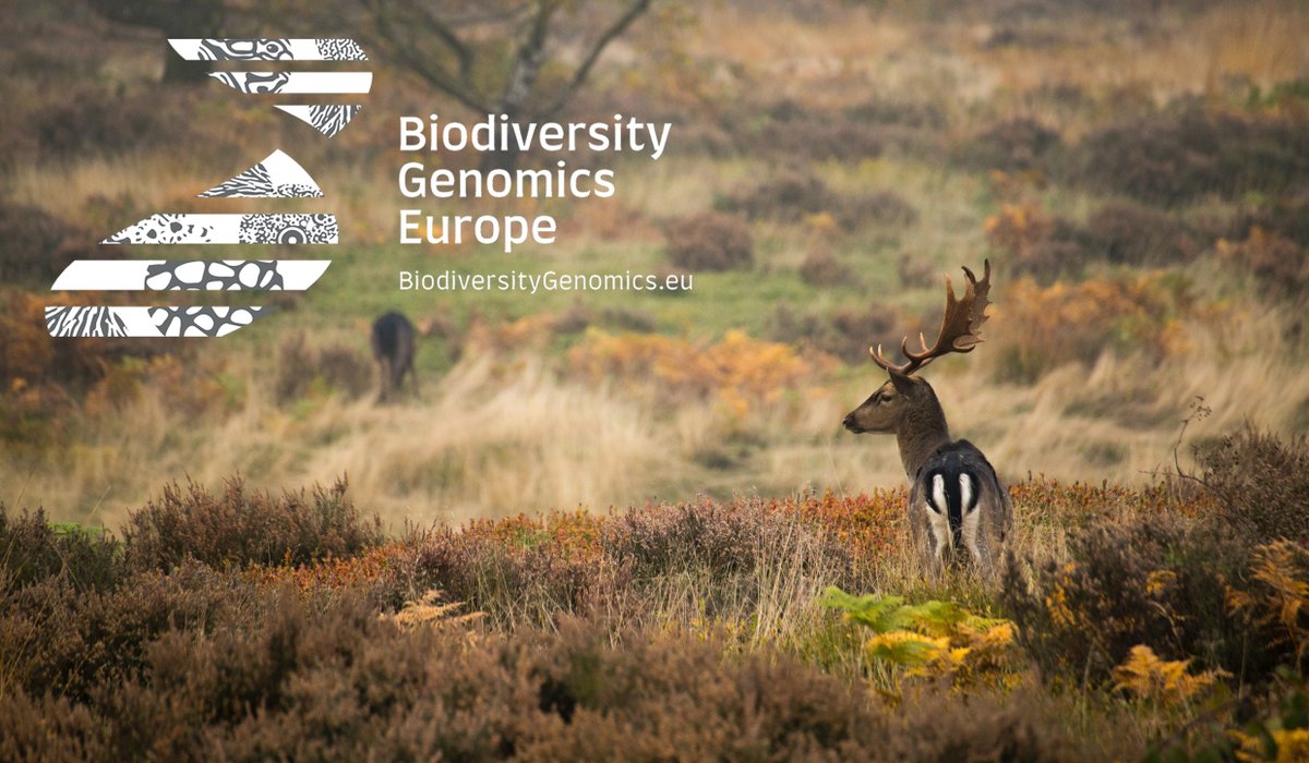 BioGenEurope's tweet image. Curious about our #systemic impact?

#BGE aims to overcome the current limitations of biodiversity genomics investment in Europe by bringing national initiatives together.🌐

👉Find out about this impact on our website: biodiversitygenomics.eu/bge-impact/sys…

@REA_research #genomics #network