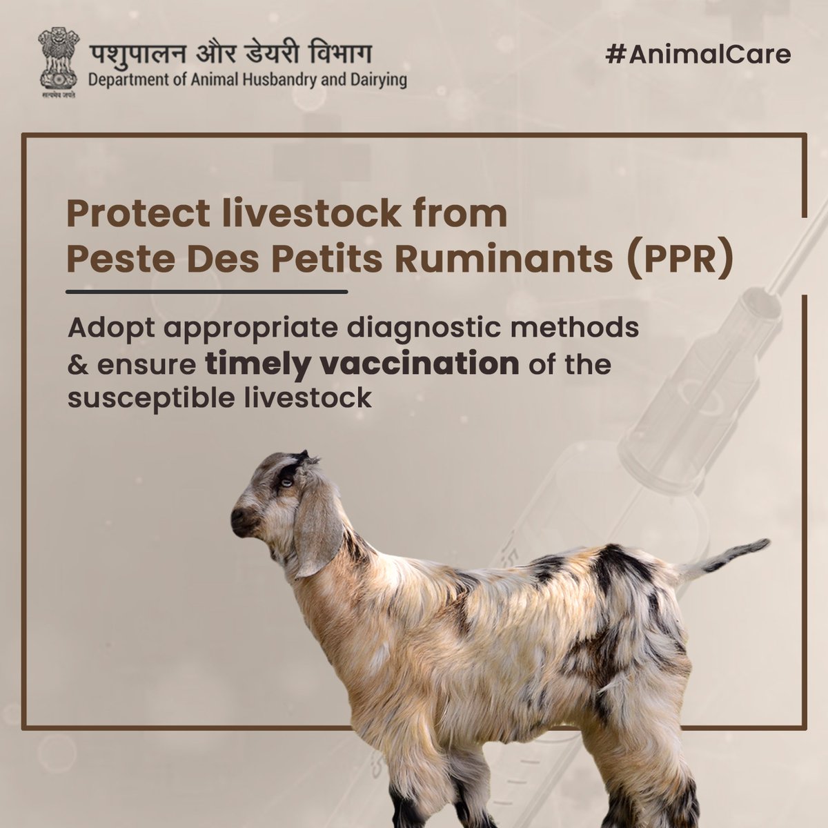 Don't let PPR be a cause of concern for your livestock's health
#diseases #animaldiseases #AatmnirbharBharat #aatmnirbharahd #ahelp #animalhealth #livestock #animalhusbandry #pashupalan