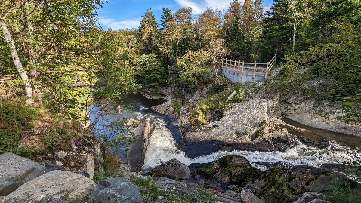 almelou's tweet photo. Waterford river, St. John's. https://t.co/0J4IYecIS0