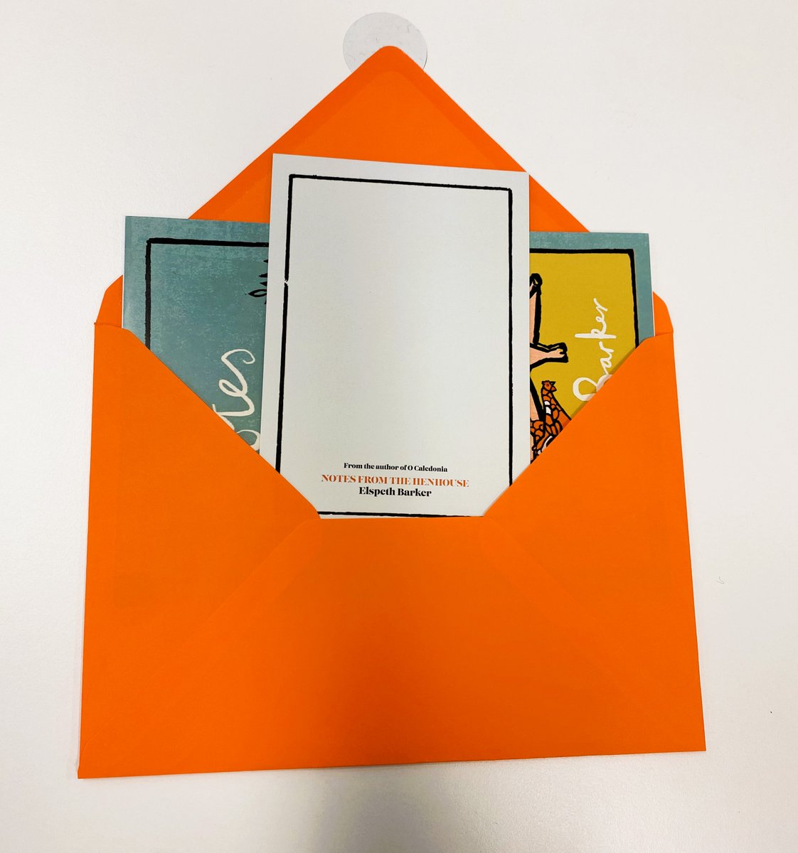 letticefranklin's tweet photo. Sending out samplers of the irresistible #NotesFromTheHenhouse by #ElspethBarker today.

Out on 9th November 2023 https://t.co/M6mZxPypfa