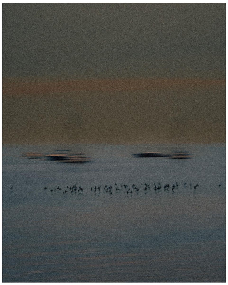 TheoMiege's tweet photo. Bassin d’Arcachon en longue exposition 🌅 https://t.co/Nj0wUTLZBa