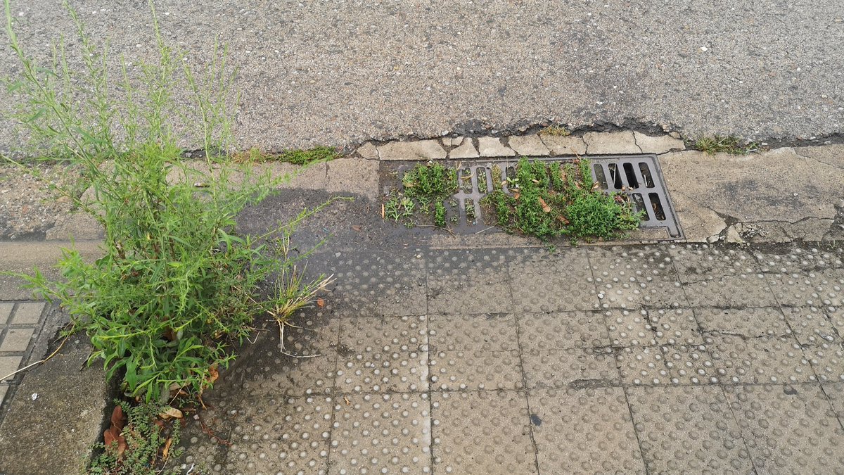 neusrosam's tweet photo. @ViladeSalt @ViladeSalt un any desprès segueix igual, bé igual no, les herbes han tornat a créixer, però els forats segueixen tapats. Algú farà manteniment abans que arribin les desitjades plujes? O haurem de comprar una barca per sortir del polígon Torremirona? https://t.co/r1wdOcbFTV
