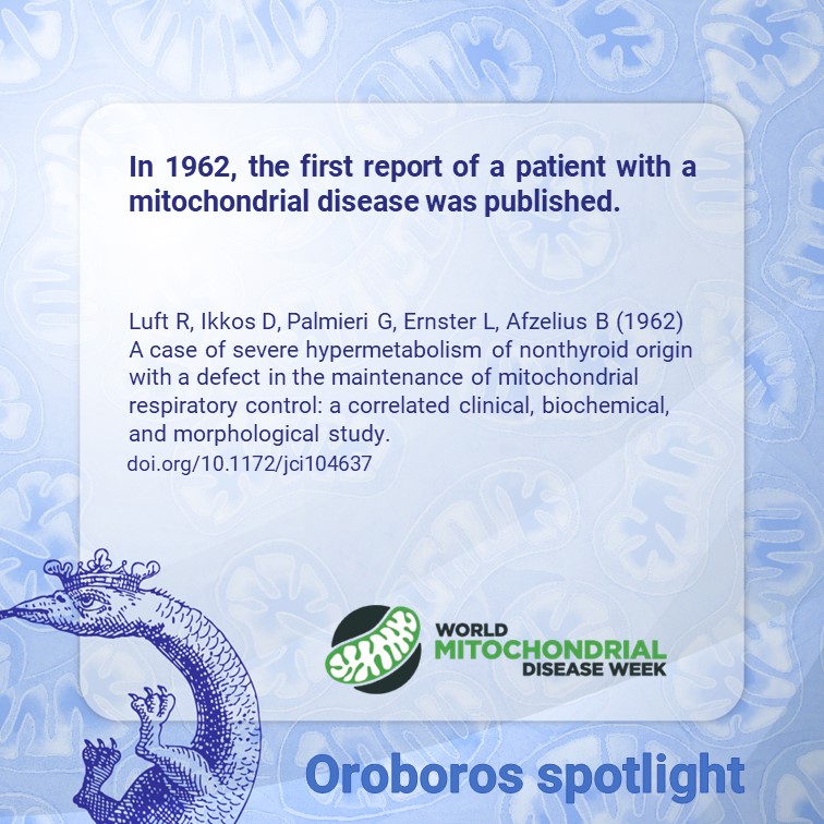OroborosI's tweet image. In honor of World Mitochondrial Disease Week, we encourage you to check out this historical paper from 1962 by Luft et al describing a patient with mitochondrial disease.

#WMDW #MitoResearch #MitochondrialDisease #ScienceHistory #Research