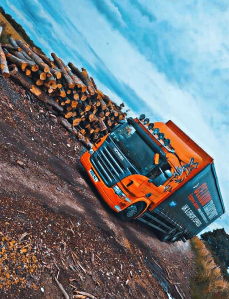 Feels a lot like Autumn today - perfect loads &amp; views  🚛🪵🍂🧡
#celkom #pallettrack #autumnfeels #anyload #anylocation #heavy #proudtohelp