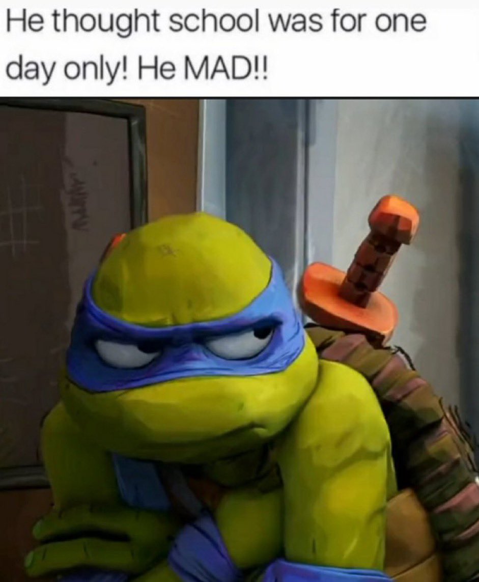 Grumpy Turtle Memes