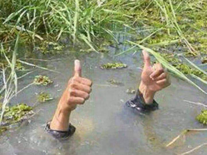 C F R John tweet media